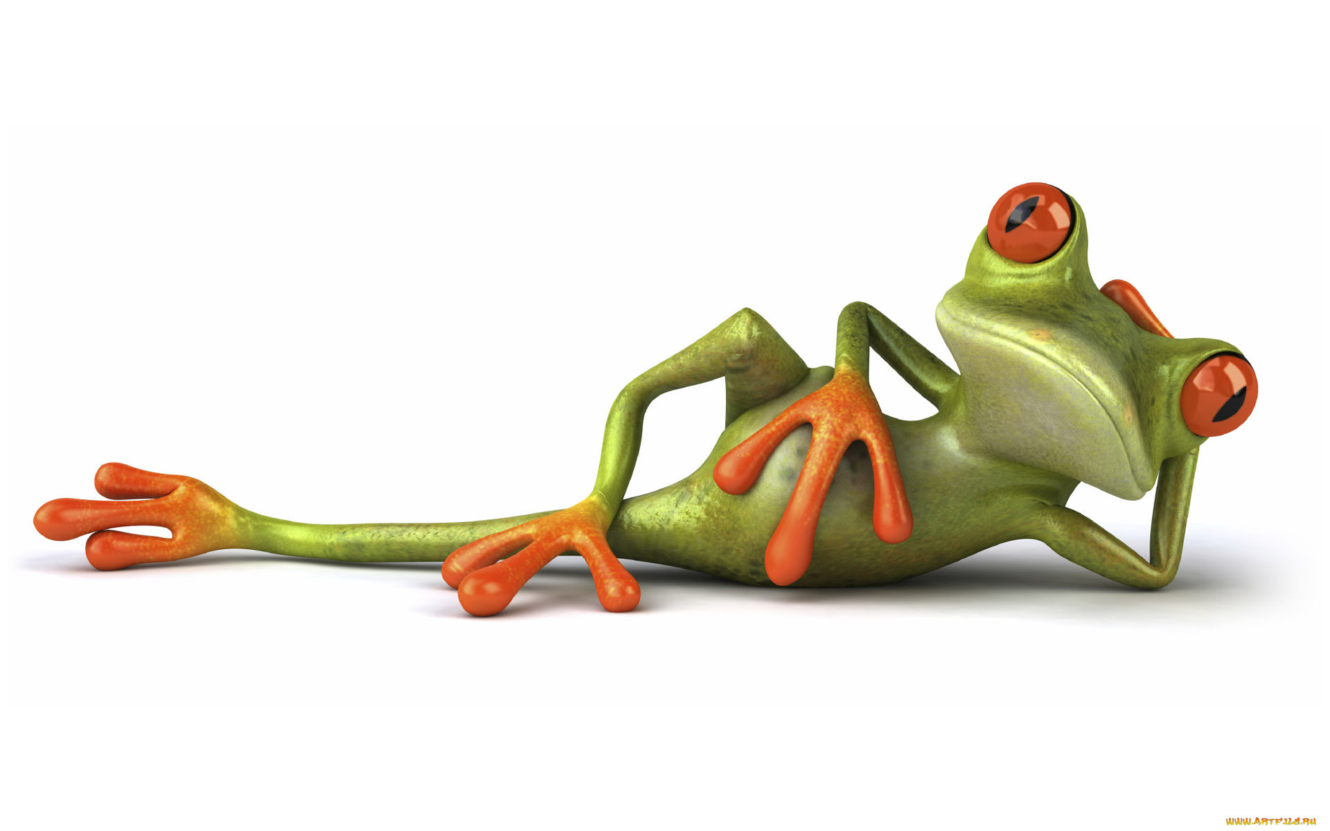 3 , animals , , , 